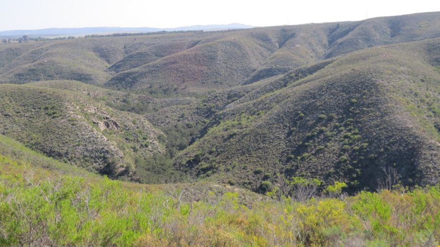 Commercial Property for Sale in Swellendam Rural Western Cape